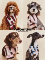 Pawfect pets*Pettention寵物圍巾🧣