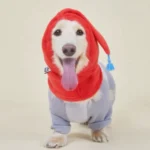 韓國🇰🇷Hey 寵物冬季保暖圍脖精靈帽 中大型犬友善：圖片 2