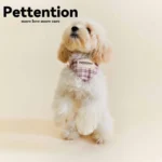 Pettention 寵物親子粉格紋領巾+髮圈禮盒：圖片 2