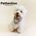 Pettention 寵物親子藍格紋領巾+髮圈禮盒：圖片 2