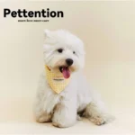 Pettention 寵物親子黃格紋領巾+髮圈禮盒：圖片 2