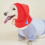 韓國🇰🇷Hey 寵物冬季保暖圍脖精靈帽 中大型犬友善：圖片 3