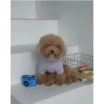 Pawfect pets韓國寵物馬海毛親膚微高領毛衣 - Image 3