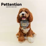 Pettention 寵物親子藍格紋領巾+髮圈禮盒：圖片 3