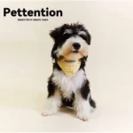 Pettention 寵物親子黃格紋領巾+髮圈禮盒：圖片 3