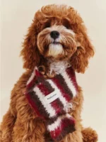 Pawfect pets*Pettention寵物圍巾🧣：圖片 3