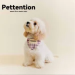 Pettention 寵物親子粉格紋領巾+髮圈禮盒：圖片 4