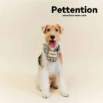 Pettention 寵物親子藍格紋領巾+髮圈禮盒：圖片 4