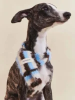 Pawfect pets*Pettention寵物圍巾🧣：圖片 4