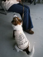 Pawfect pets*Dogkuma 狗狗樹拼接棒球T恤親子裝：圖片 5
