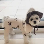 韓國🇰🇷 咖啡色 杏色蝴蝶結羊羔毛寵物四腳保暖衣 保暖斗篷：圖片 5
