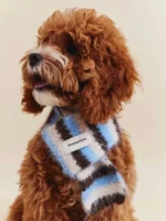 Pawfect pets*Pettention寵物圍巾🧣：圖片 6