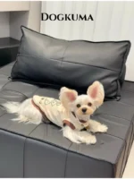 Pawfect pets*Dogkuma 狗狗樹拼接棒球T恤親子裝：圖片 7