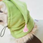 韓國🇰🇷Hey 寵物冬季保暖圍脖精靈帽 中大型犬友善：圖片 6