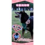 LaRoo 新品 愛心百搭帶寵物散步燈（充電式)：圖片 9