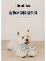 韓國 LikaLika 寵物涼感降溫頸圈
