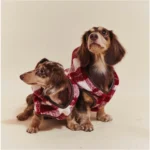 Pawfect pets*Pettention 寵物格紋披風背心