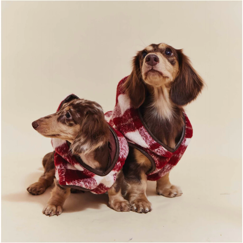 tw-11134207-7ras8-m5wnzfp1ngu9ea Pawfect pets*Pettention 寵物格紋披風背心:圖片 1