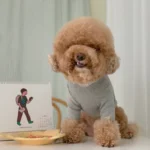 Pawfect pets 韓國GRMD寵物素色棉T恤：圖片 3