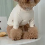 Pawfect pets 韓國GRMD寵物素色棉T恤：圖片 6