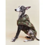 Pawfect pets*Pettention 寵物格紋披風背心 - Image 4