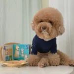 Pawfect pets 韓國GRMD寵物素色棉T恤：圖片 7