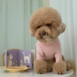 Pawfect pets 韓國GRMD寵物素色棉T恤：圖片 8