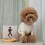 Pawfect pets 韓國GRMD寵物素色棉T恤：圖片 9
