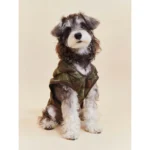 Pawfect pets*Pettention 寵物格紋披風背心 - Image 6