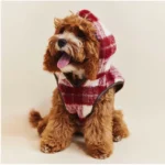 Pawfect pets*Pettention 寵物格紋披風背心 - Image 7