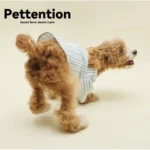 Pettention 寵物夏日藍條紋薄襯衫 - Image 2