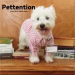 Pettention 寵物夏日薄款粉色條紋襯衫 - Image 2