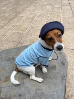 Pettention*pawfect pets 寵物藍色撞色T恤：圖片 2