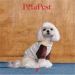 Pawfect pets *Petapest 藍條紋毛絨拼接高領針織衫：圖片 4