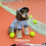 Pettention*pawfect pets 寵物藍色撞色T恤：圖片 5