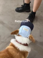 Pettention*Pawfect pets 寵物夏日棒球帽：圖片 3