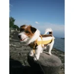 Pawfect pets*Petapest 寵物撞色條紋彈力透氣背心 - Image 3