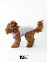 Pawfect pets* One half studio 寵物夏日涼感衣：圖片 4