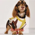 Pawfect pets*Petapest 寵物撞色條紋彈力透氣背心 - Image 4