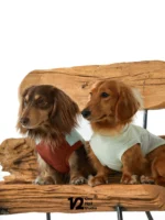 Pawfect pets* One half studio 寵物夏日涼感衣：圖片 6
