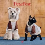 Pawfect pets *Petapest 藍條紋毛絨拼接高領針織衫