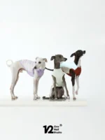 Pawfect pets* One half studio 寵物夏日涼感衣