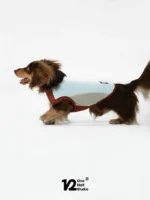 Pawfect pets* One half studio 寵物夏日涼感衣：圖片 7