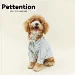 Pettention 寵物夏日藍條紋薄襯衫 - Image 5