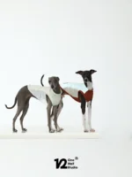 Pawfect pets* One half studio 寵物夏日涼感衣：圖片 8