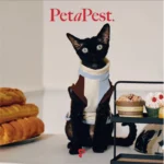 Pawfect pets*Petapest 寵物撞色條紋彈力透氣背心 - Image 6