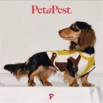 Pawfect pets*Petapest 寵物撞色條紋彈力透氣背心 - Image 7