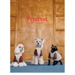 Pawfect pets *Petapest 藍條紋毛絨拼接高領針織衫：圖片 7
