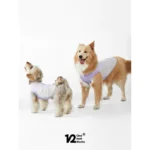 Pawfect pets* One half studio 寵物夏日涼感衣：圖片 10