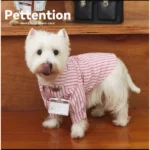 Pettention 寵物夏日薄款粉色條紋襯衫